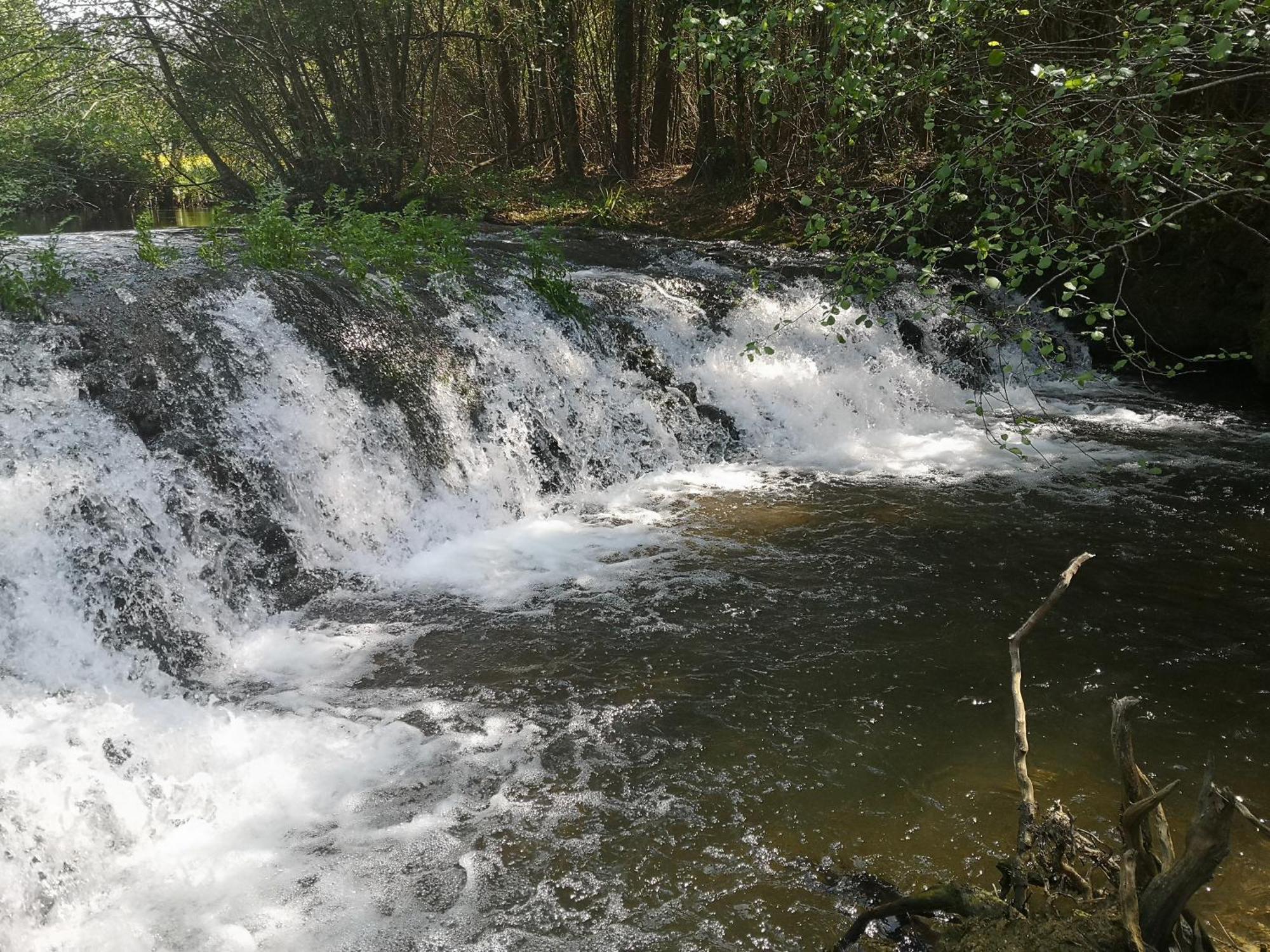 Quinta Das Aguias Aveiro Kültér fotó