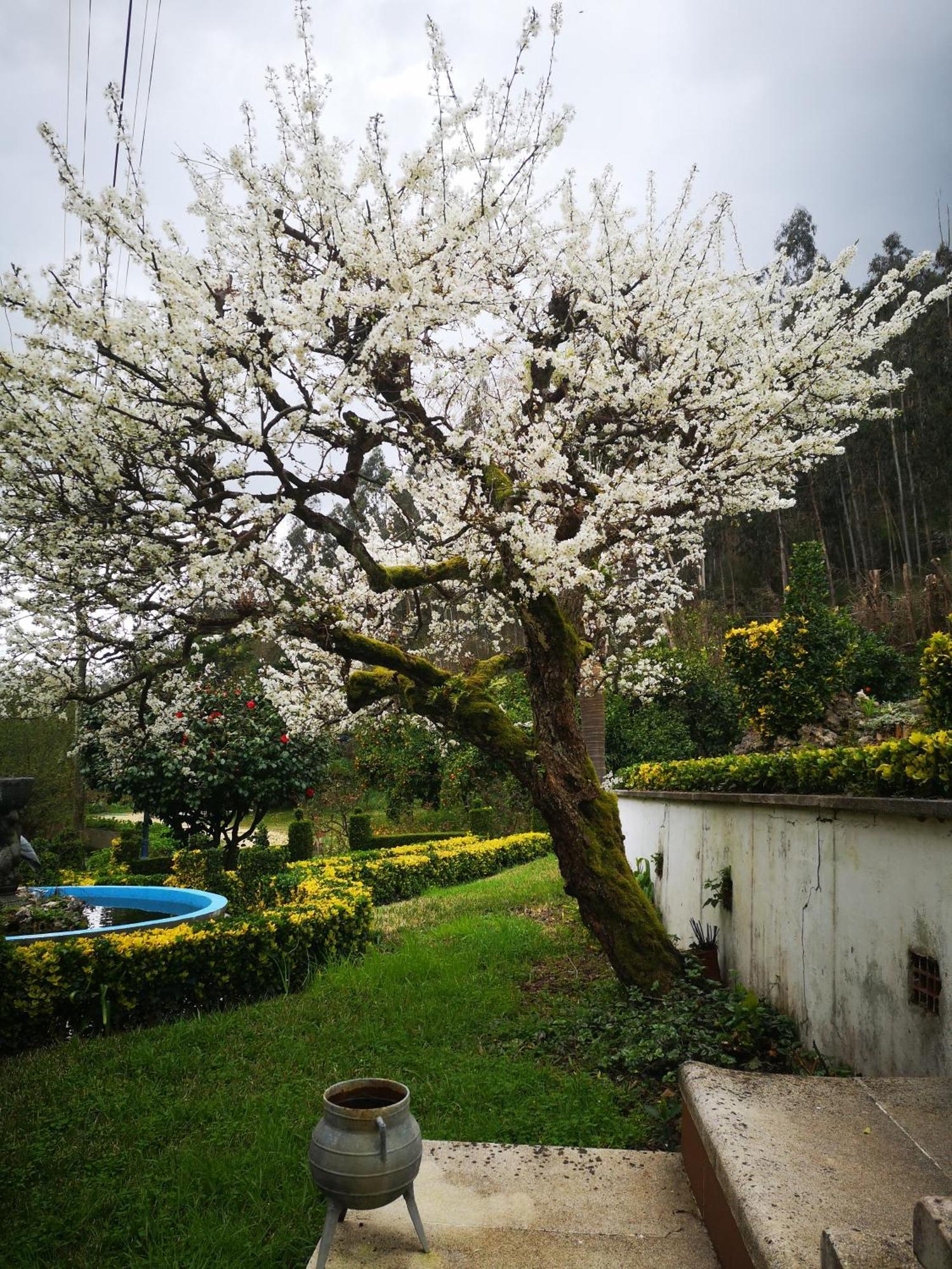 Quinta Das Aguias Aveiro Kültér fotó