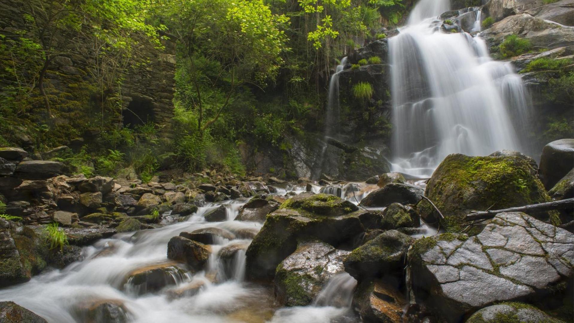 Quinta Das Aguias Aveiro Kültér fotó