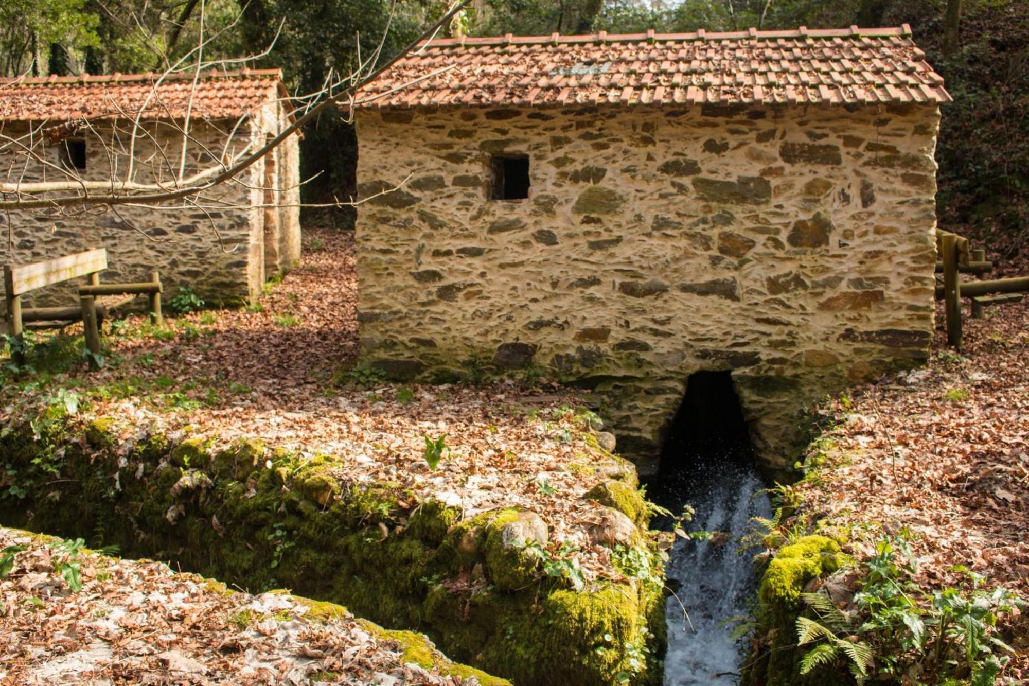 Quinta Das Aguias Aveiro Kültér fotó