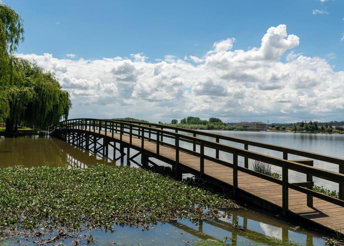 Quinta Das Aguias Aveiro Kültér fotó