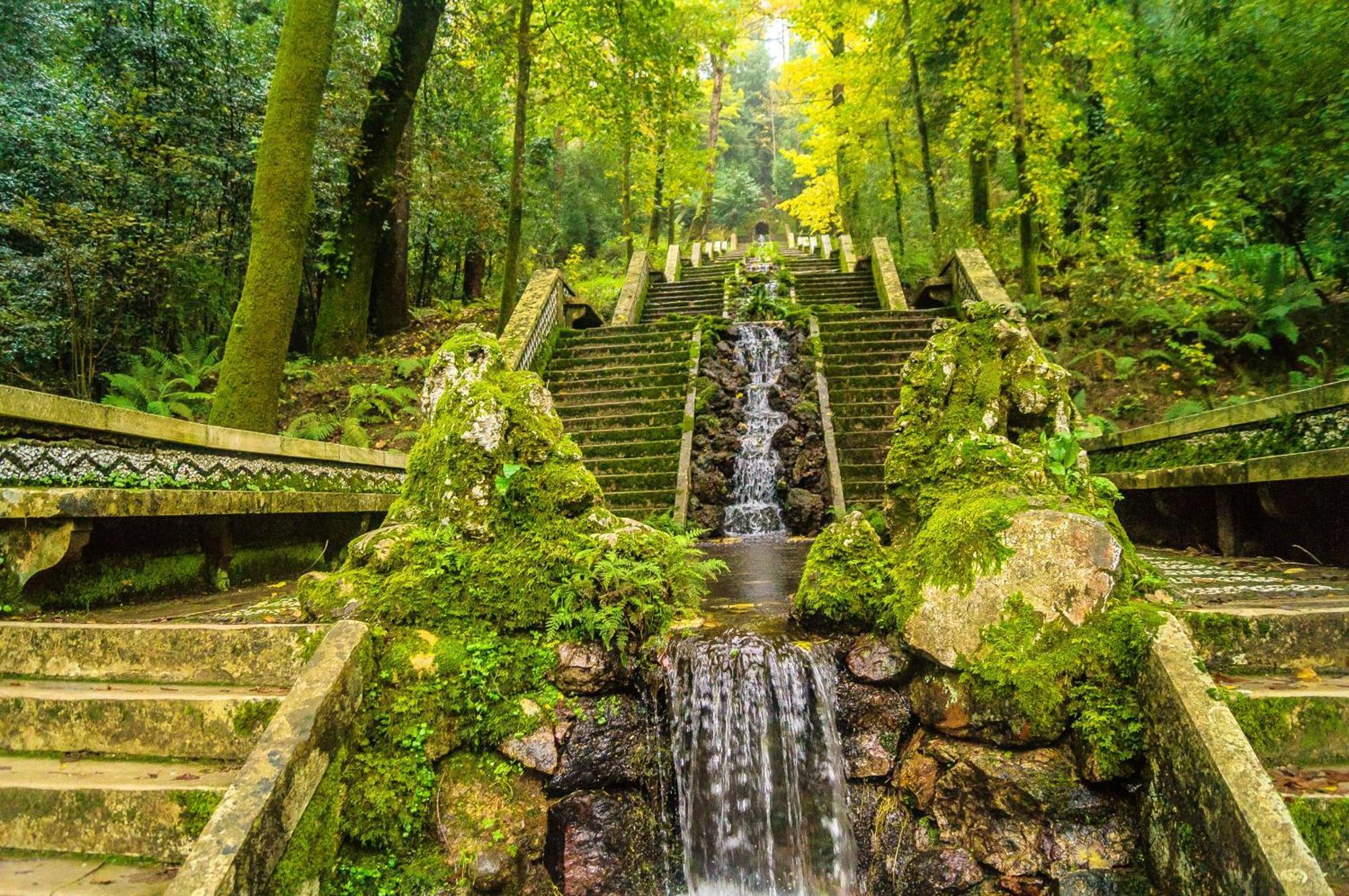 Quinta Das Aguias Aveiro Kültér fotó