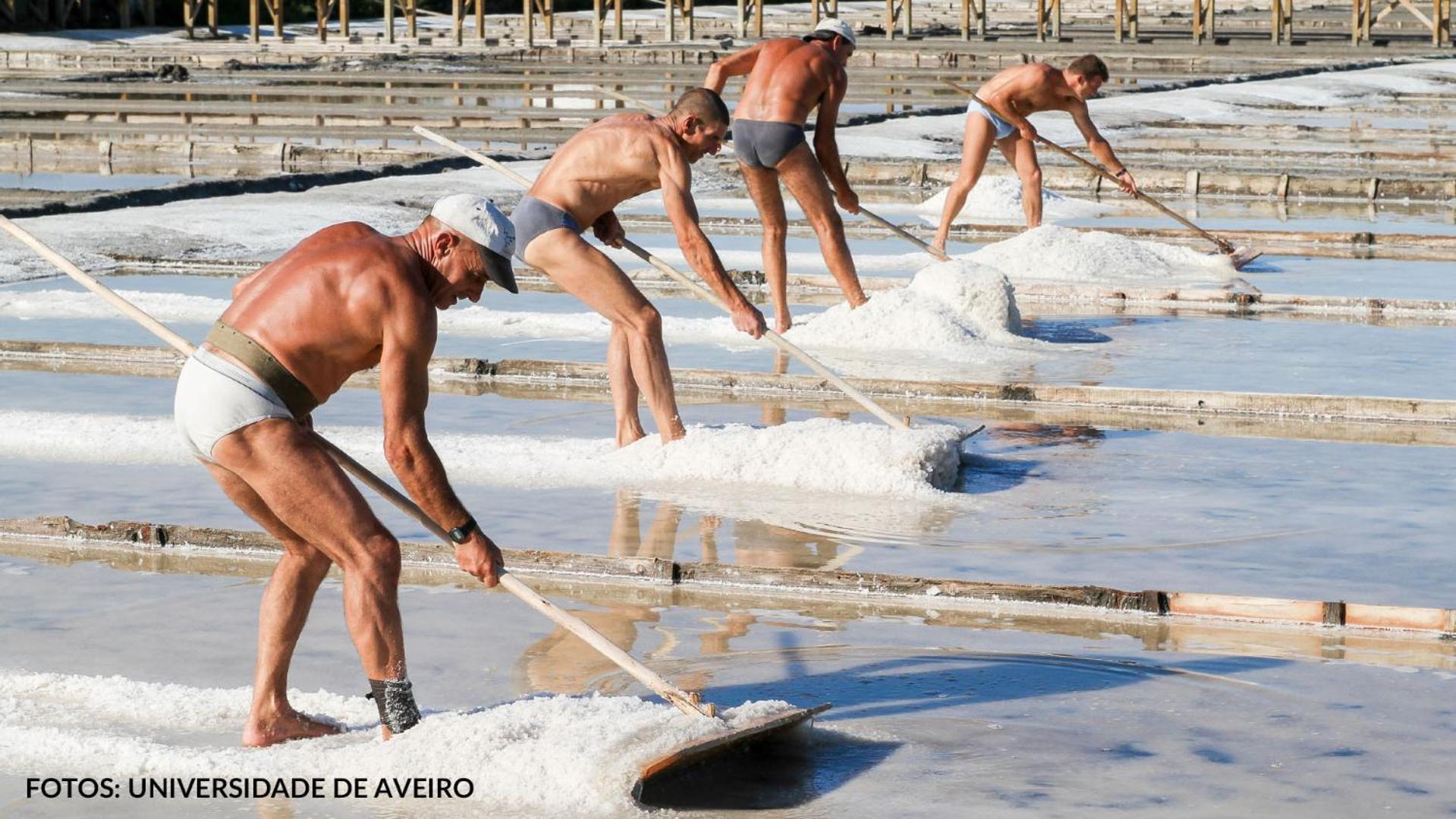 Quinta Das Aguias Aveiro Kültér fotó