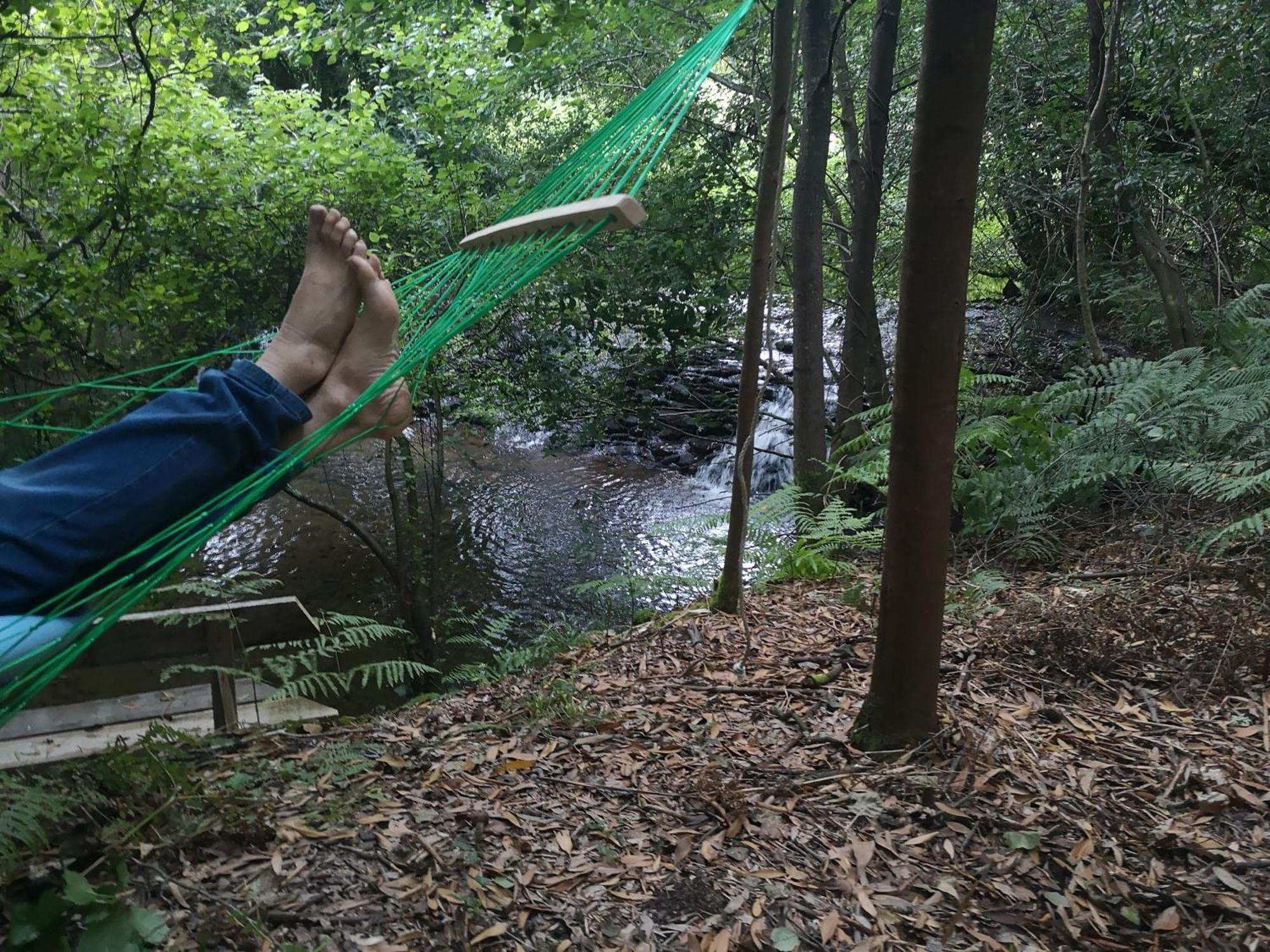 Quinta Das Aguias Aveiro Kültér fotó