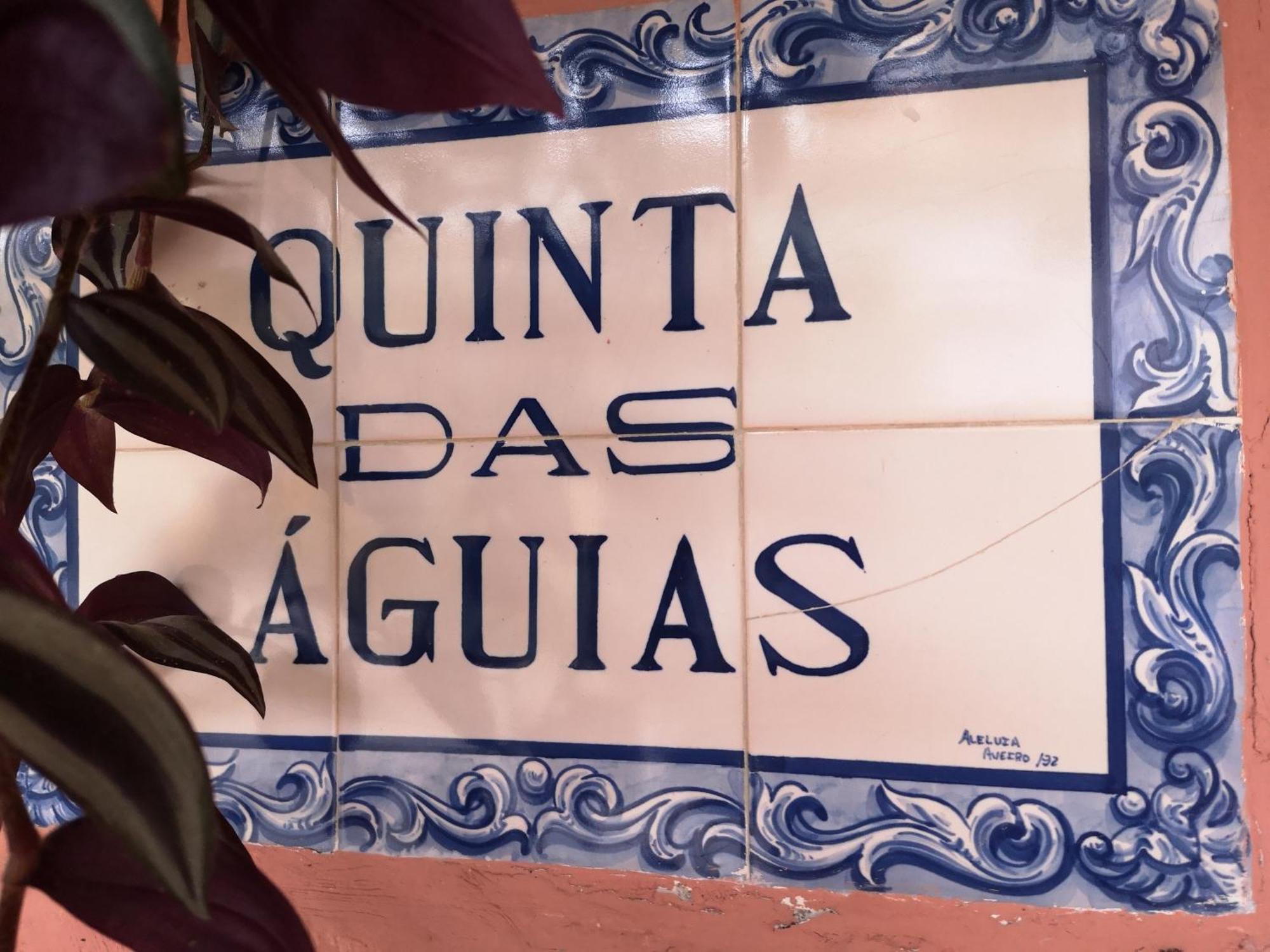 Quinta Das Aguias Aveiro Kültér fotó