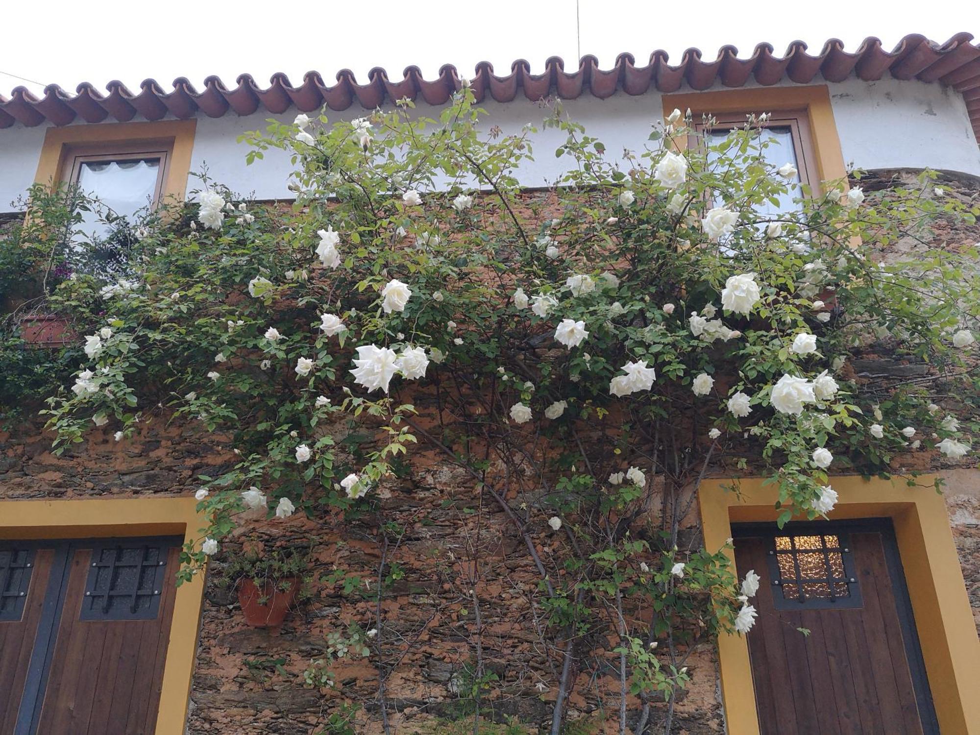 Quinta Das Aguias Aveiro Kültér fotó