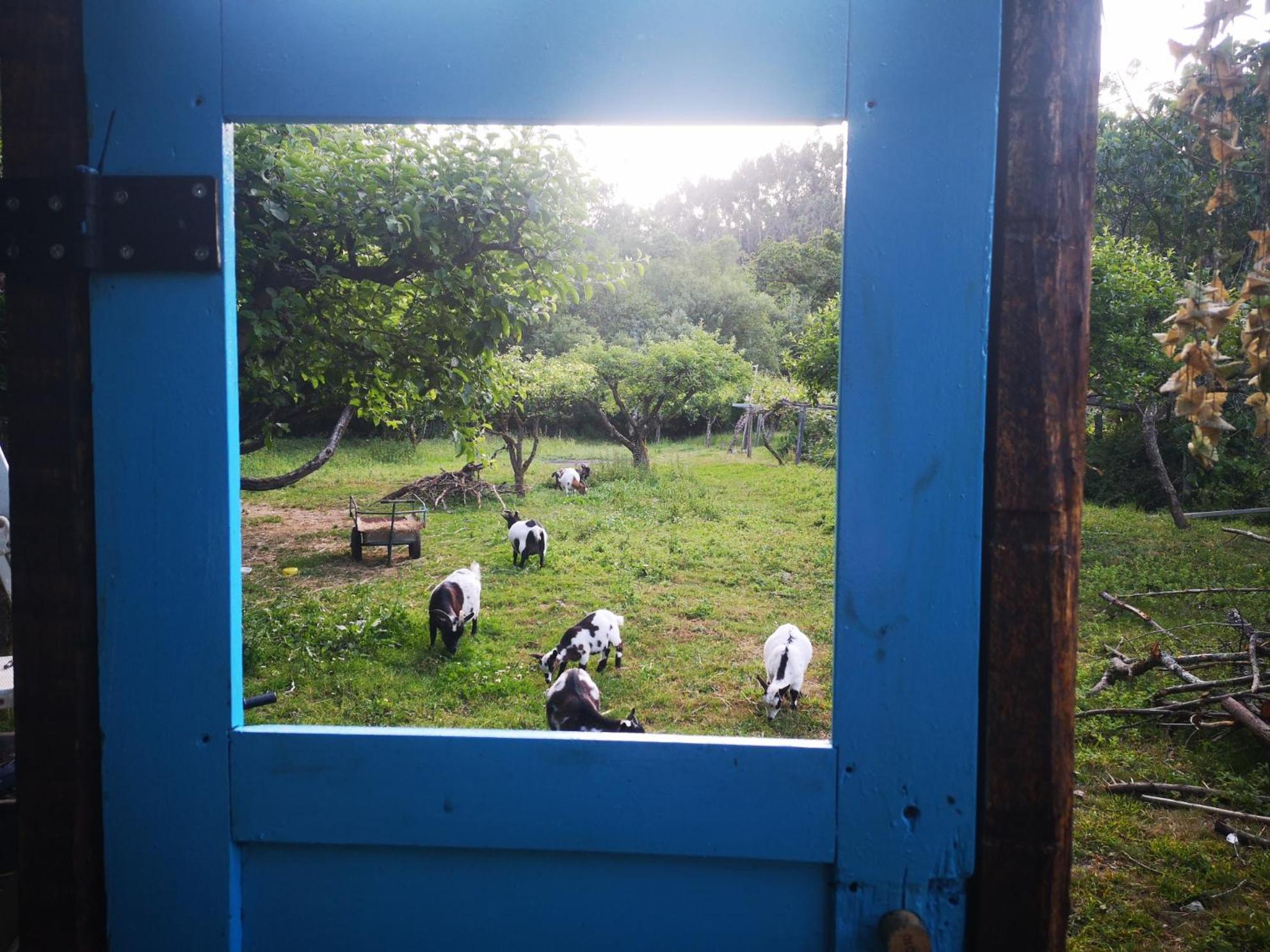 Quinta Das Aguias Aveiro Kültér fotó