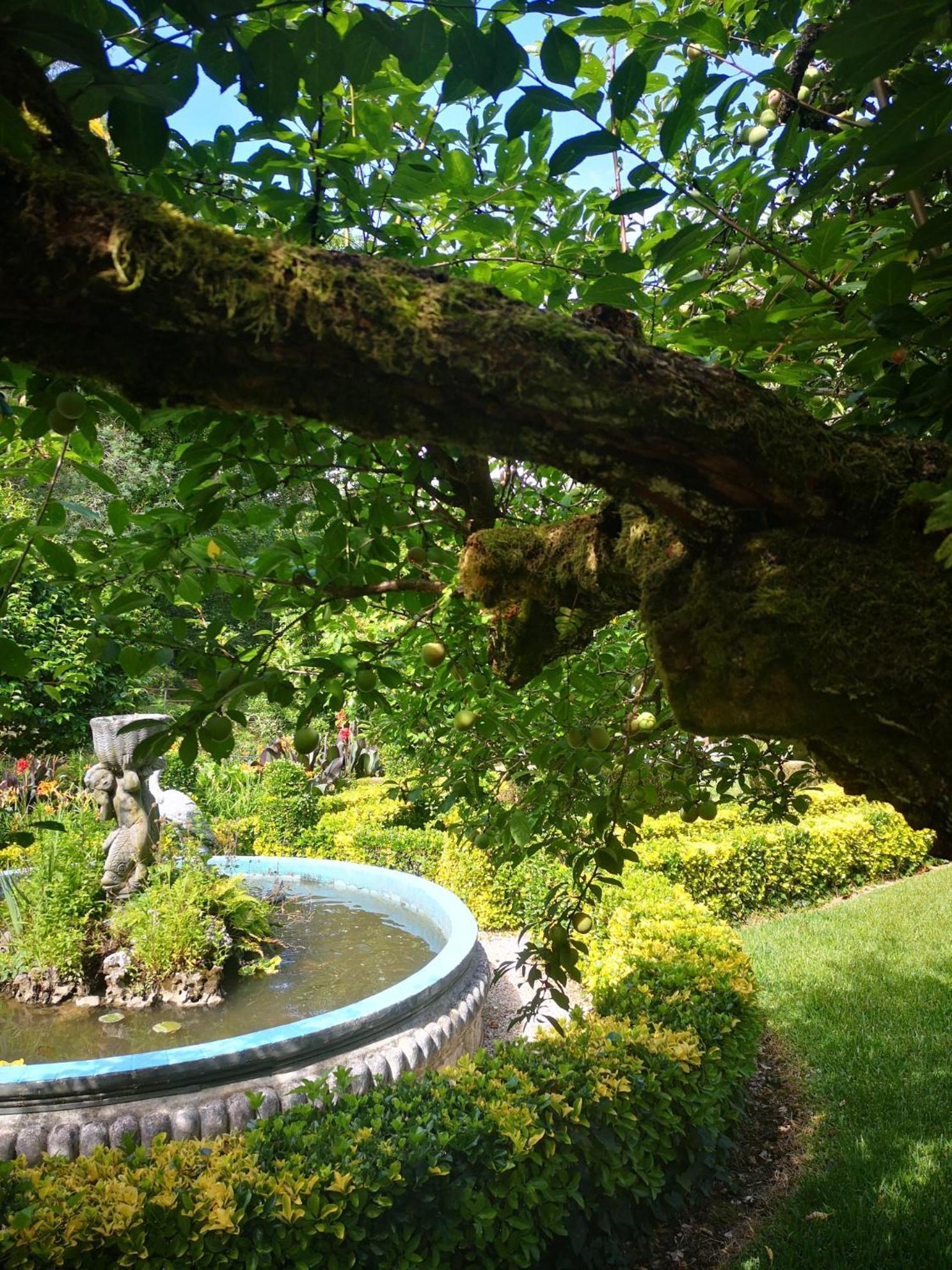 Quinta Das Aguias Aveiro Kültér fotó